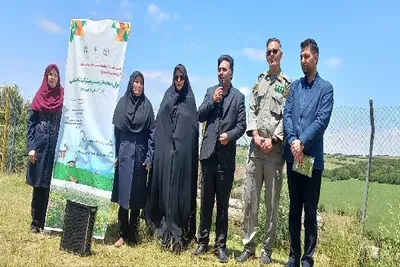 محیط زیست 