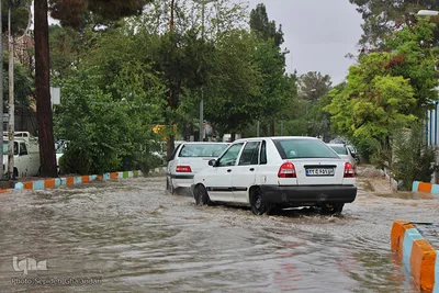 بارش باران و آبگرفتگی معابر - بیرجند