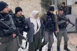 Israelische Streitkräfte nehmen 6 palästinensische Frauen fest