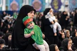 همایش شیرحوارگان در کرج