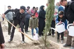 آیین درختکاری در اصفهان