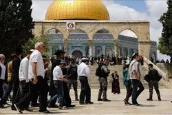 Zionistische Planung für größten Angriff auf die Al-Aqsa-Moschee