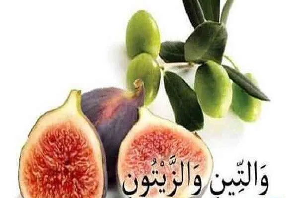 Қасами Худованд ба анҷир ва зайтун