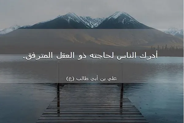 العقل ينير دروب الإنسان ويضيء حياته