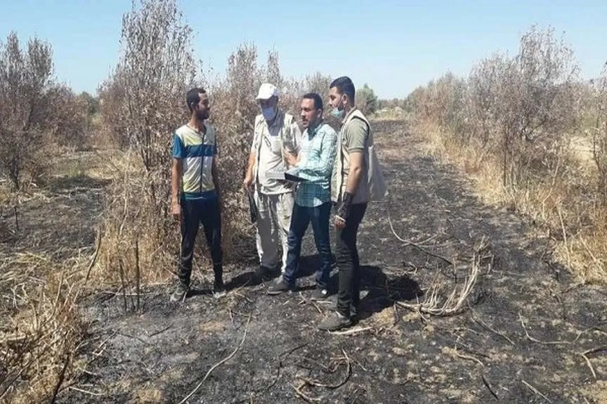 Almost All of Gaza’s Agricultural Land Destroyed or Made Inaccessible by Israel