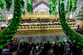گل آرایی ضریح‌مطهر علوی به مناسبت سالروز ولادت امیرالمومنین حضرت علی (ع)