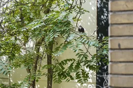 
دمی با جانِ جوانِ بخارا
