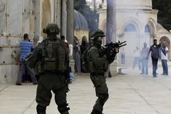 Zionistische Streitkräfte stürmen die Al-Aqsa-Moschee