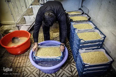 برای همسطح کردن گندم ها در سبد آن را در تشت آب فرو می برند.