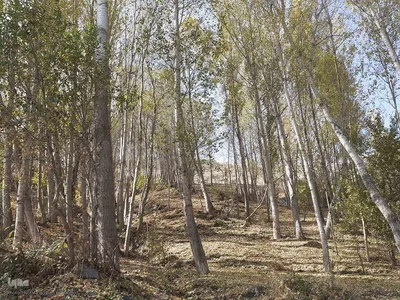 طبیعت بکر و پاییزی روستای انجرد شهرستان اهر