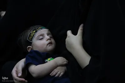 مراسم شیرخوارگان حسینی در امامزاده سیدمحسن(ع) تیرانچی