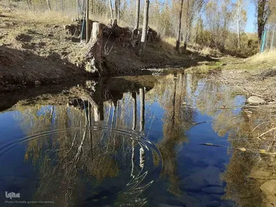 رنگ آمیزی طبیعت در مناطق روستایی شهرستان اهری