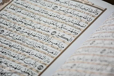 محفل انس با قرآن در امامزادگان فضل و یحیی(ع) محلات