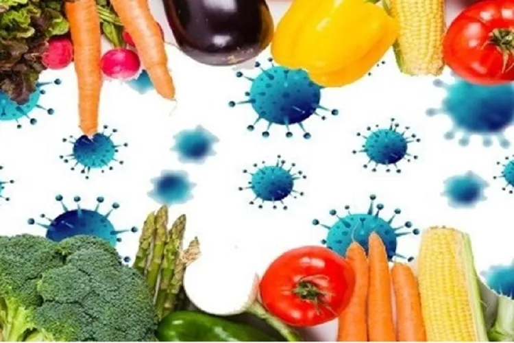 نکات تغذیه‌ای قبل و بعد از واکسیناسیون کرونا