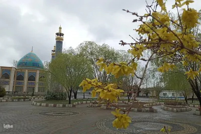 طراوت طبیعت اهر با بارش بهاری