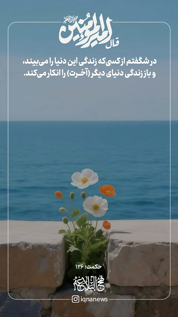 حکمت نهج البلاغه