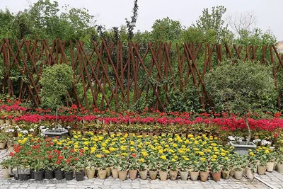 اردیبهشت باغ گل های شیراز‎‎