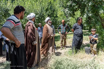 جشن شکرانه برداشت میوه البرز