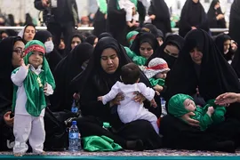 سوگواره شیرخوارگان حسینی در حرم مطهر رضوی