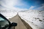 طبخ و توزیع نذورات حرم شاهچراغ(ع) در میان مناطق زلزله‌زده خان‌زنیان شیراز