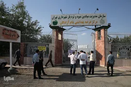 بازار عرضه دام سبک «آزادگان» شهرداری تهران در عید سعید قربان