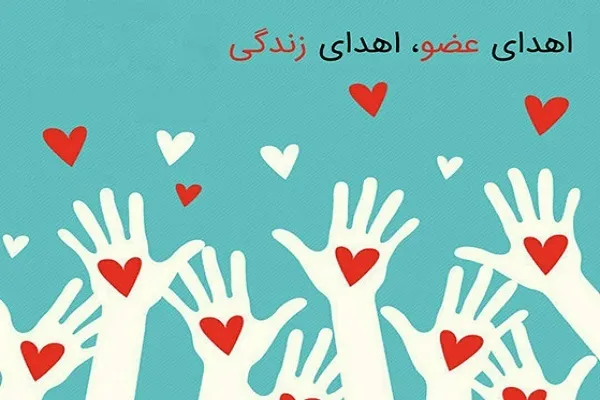 بانوی ۲۹ ساله، نجات‌بخش جان ۳ بیمار نیازمند عضو شد