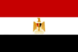 Egypt Adds over 100 Muslim Brotherhood Members to Terror List