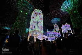 جشن کریسمس مسیحیان در سنگاپور