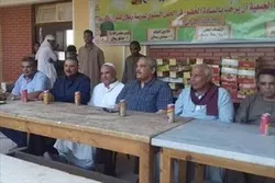 مصر؛ پانچ سو حافظ قرآن بچوں کی تقریب حوصلہ افزائی