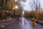 پاییز تبریز در فصل کرونا