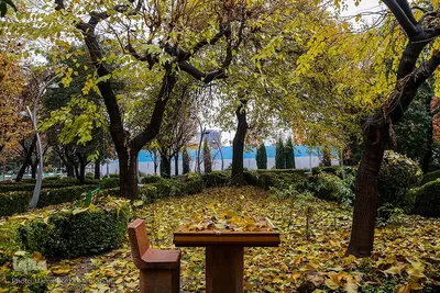 یک روز پاییزی بارانی