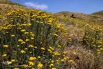طبیعت ارتفاعات روستای مزرعه و قلعه شیور