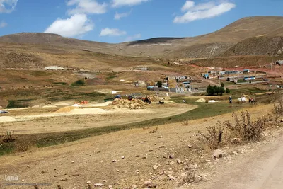برداشت خوشه های طلایی - شهرستان اهر