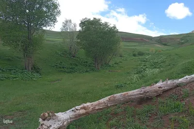طبیعت بهاری روستای چوبانلار در اهر