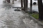 بارش باران در بیرجند