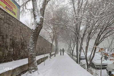 بارش سنگین برف در تبریز‎