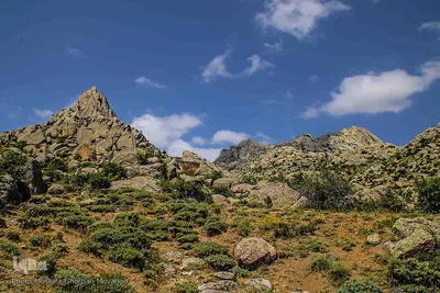 طبیعت ارتفاعات روستای مزرعه و قلعه شیور