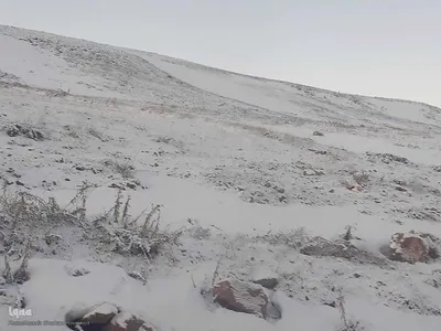 طیبعت برفی امروز در مناطق شهری و روستایی اهر