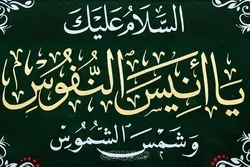 İmam Əlinin (ə) hərəmi mövlud münasibətilə bəzədilib - FOTO
