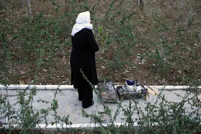 روز طبیعت در تهران
