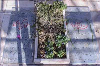 مزار شهدای انقلاب در شیراز‎‎