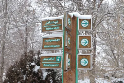 سپیدی برف بر تار پود تن تبریز