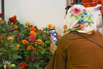 هشتمین دوره نمایشگاه گل و گیاه در اراک