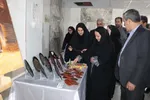نکوداشت روز سالمند
