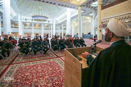 نقش حبیب‎‎