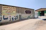 آیین شکرگزاری برداشت گندم در مراغه