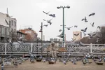 چهارراه کبوترها‎‎