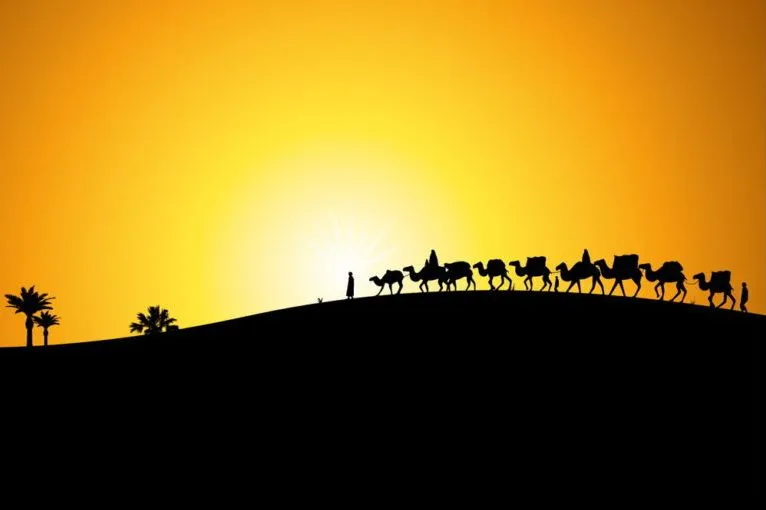 Quattro condizioni per unirsi alla Carovana dell’Imam Husayn (as)