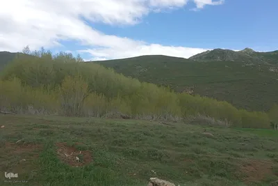 طبیعت بهاری روستای چوبانلار در اهر