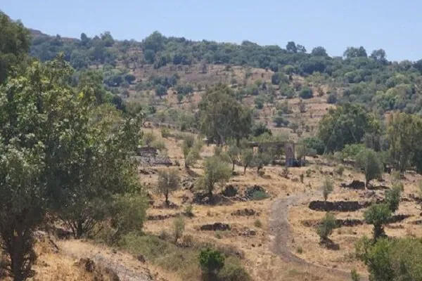 Sionist İsrail Suriyanın Hermon dağını işğal edib